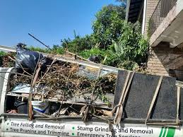 Best Same-Day Junk Removal Services  in Bluefield, WV