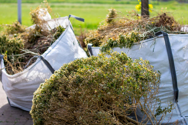 Best Dumpster Rental Services  in Bluefield, WV